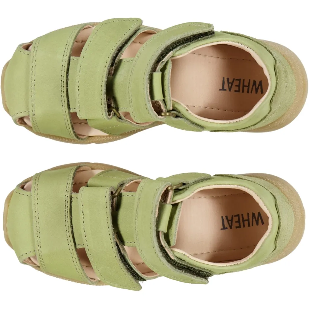 Figo shandal - heather green Wheat