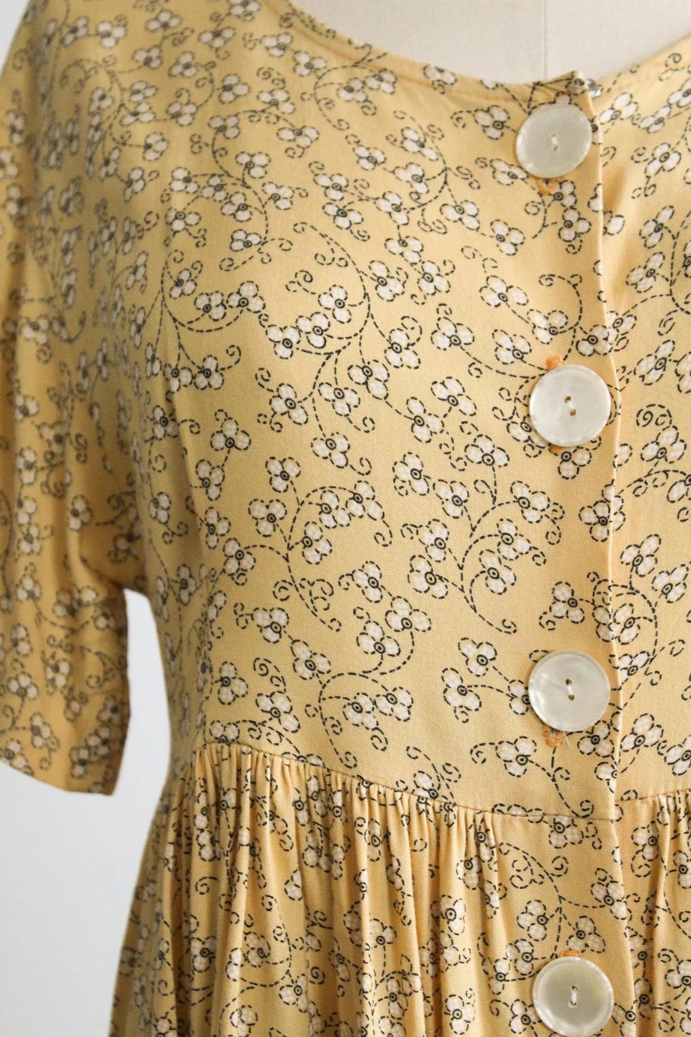 honeybee picnic dress 1919 Vintage