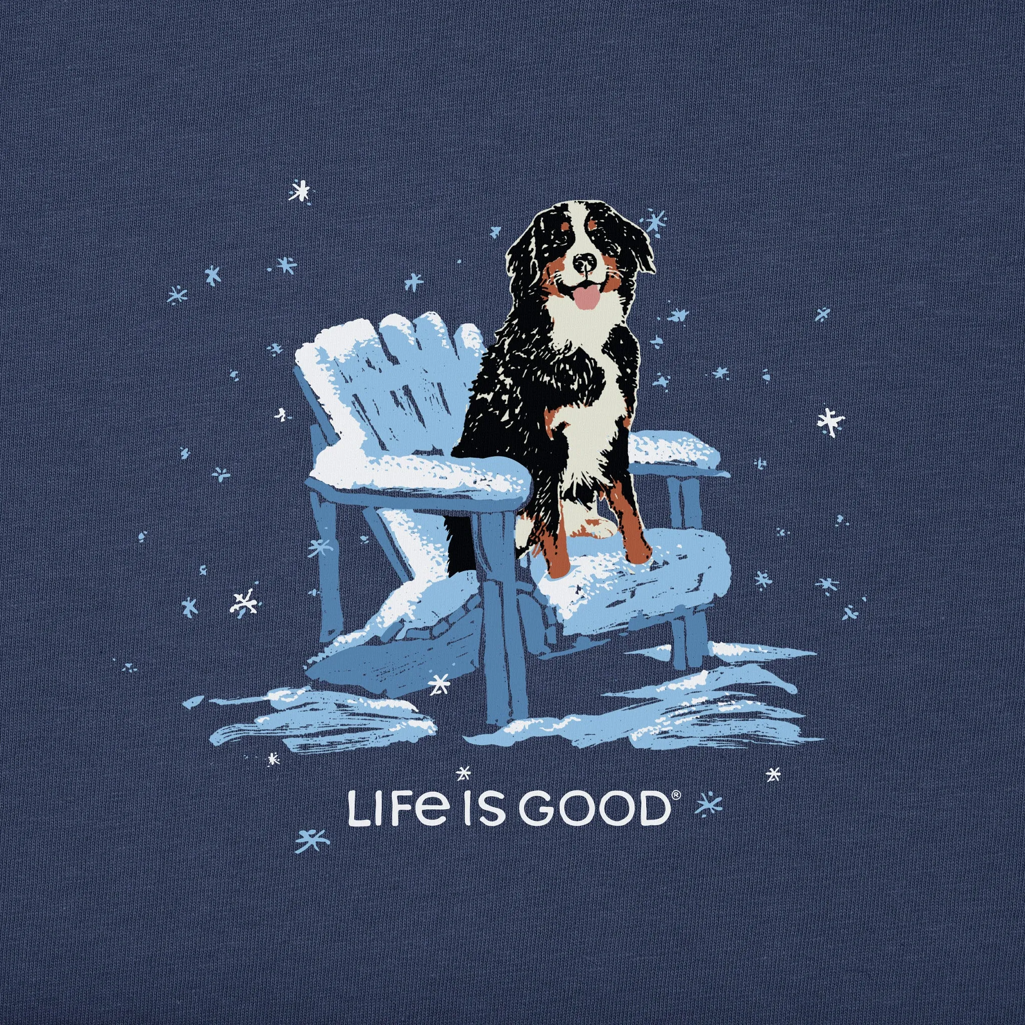 Men's Snowy Adirondack Bernese Simply True Fleece Crew LIFE IS GOOD