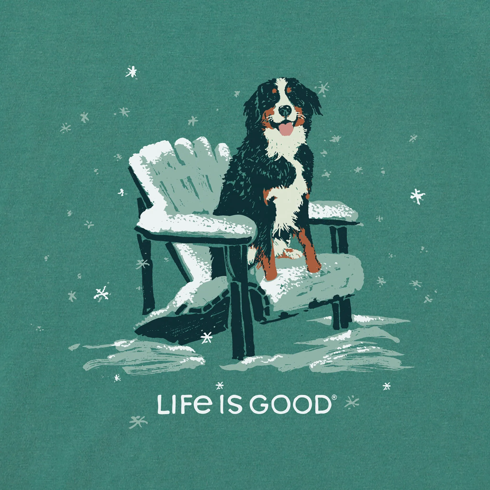 Men's Snowy Adirondack Bernese Simply True Fleece Crew LIFE IS GOOD