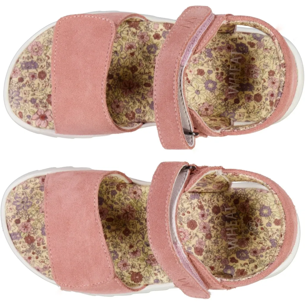 Shay sandal - cameo blush Wheat