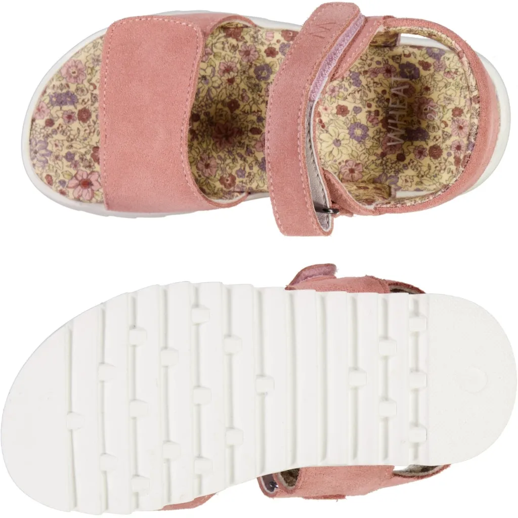 Shay sandal - cameo blush Wheat