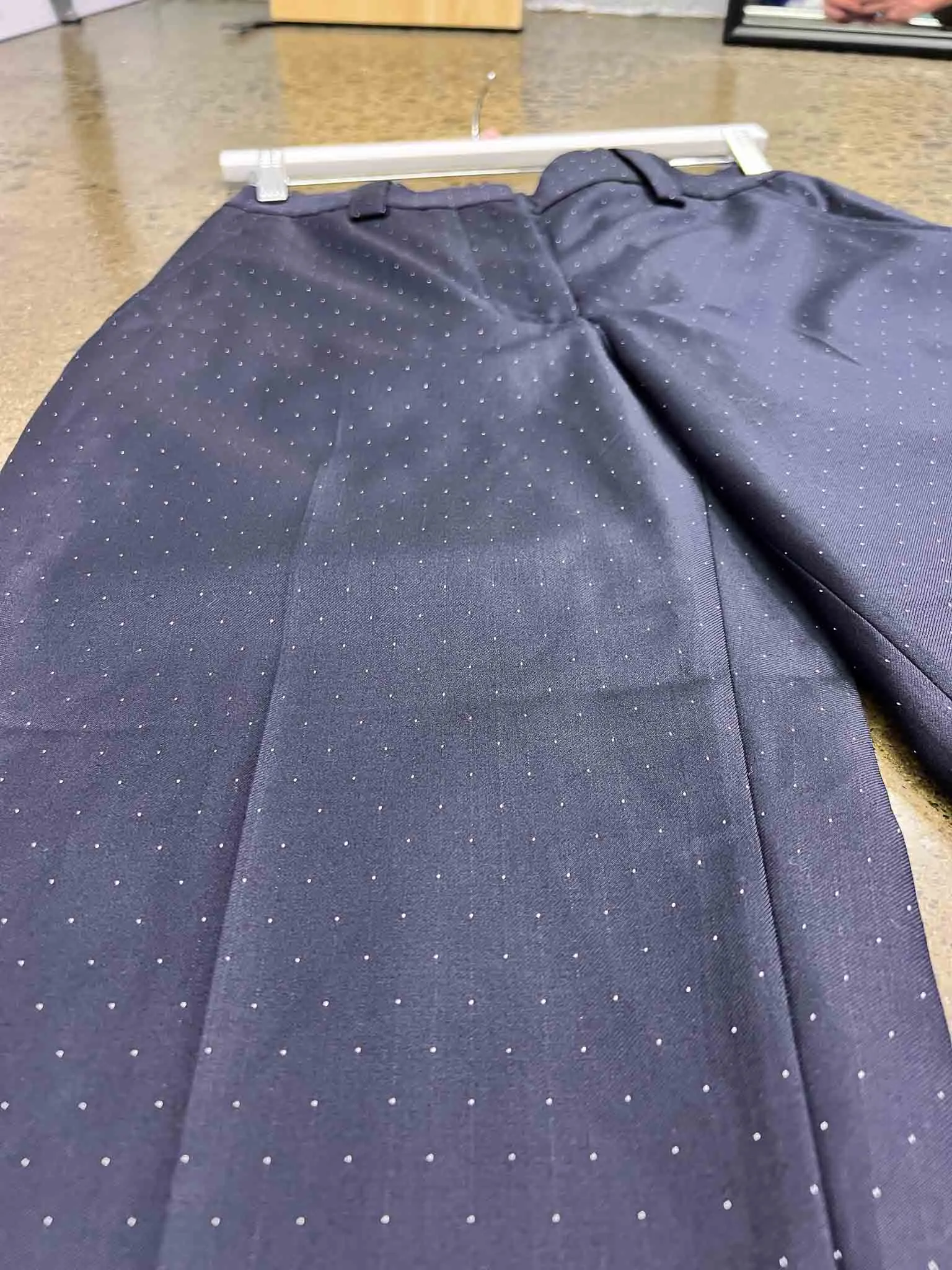 Size 36 (S) | Acne Trea Dot Suit Pants