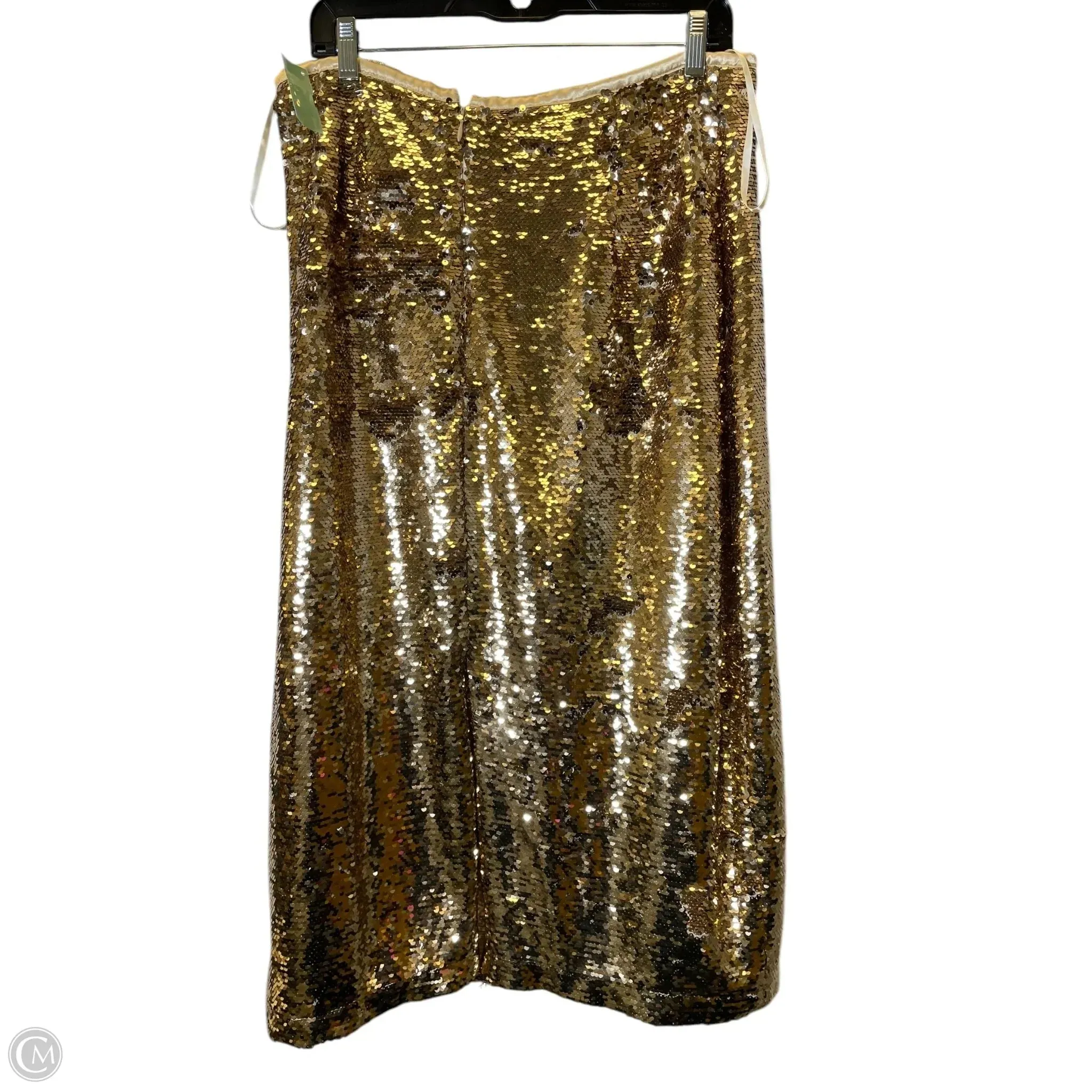 Skirt Maxi By Cmc In Gold, Size: 10
