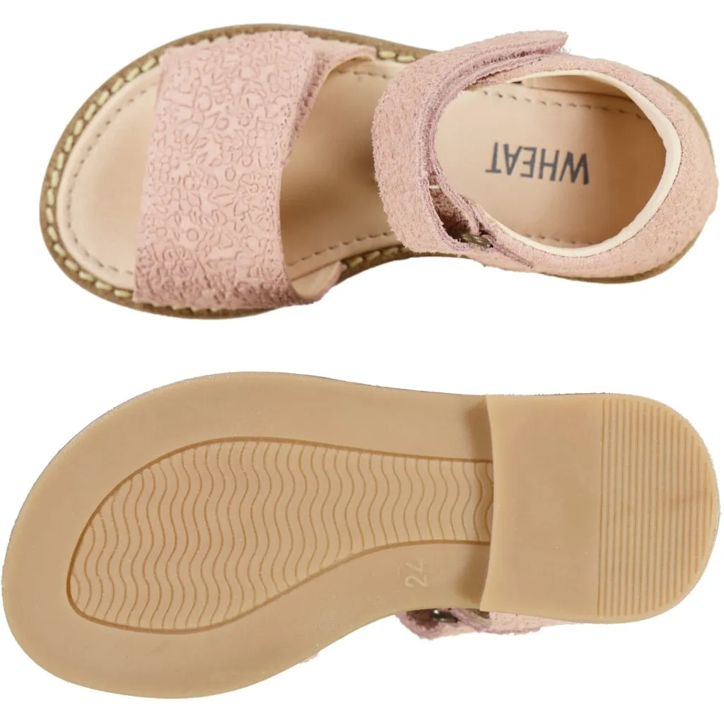 Tasha sandal - rose sand Wheat