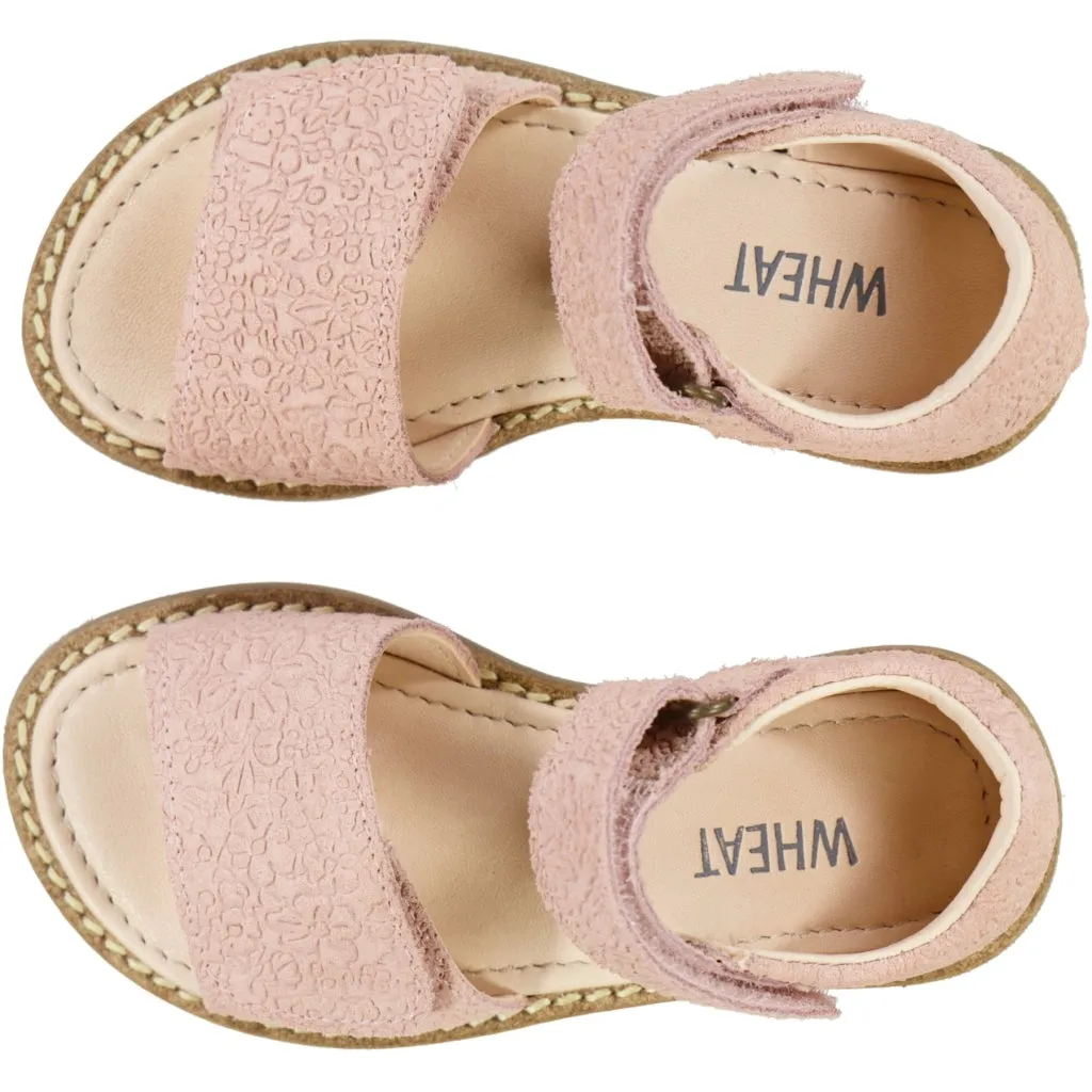 Tasha sandal - rose sand Wheat