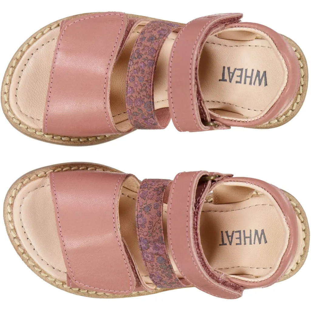 Taysom sandal - cameo blush Wheat