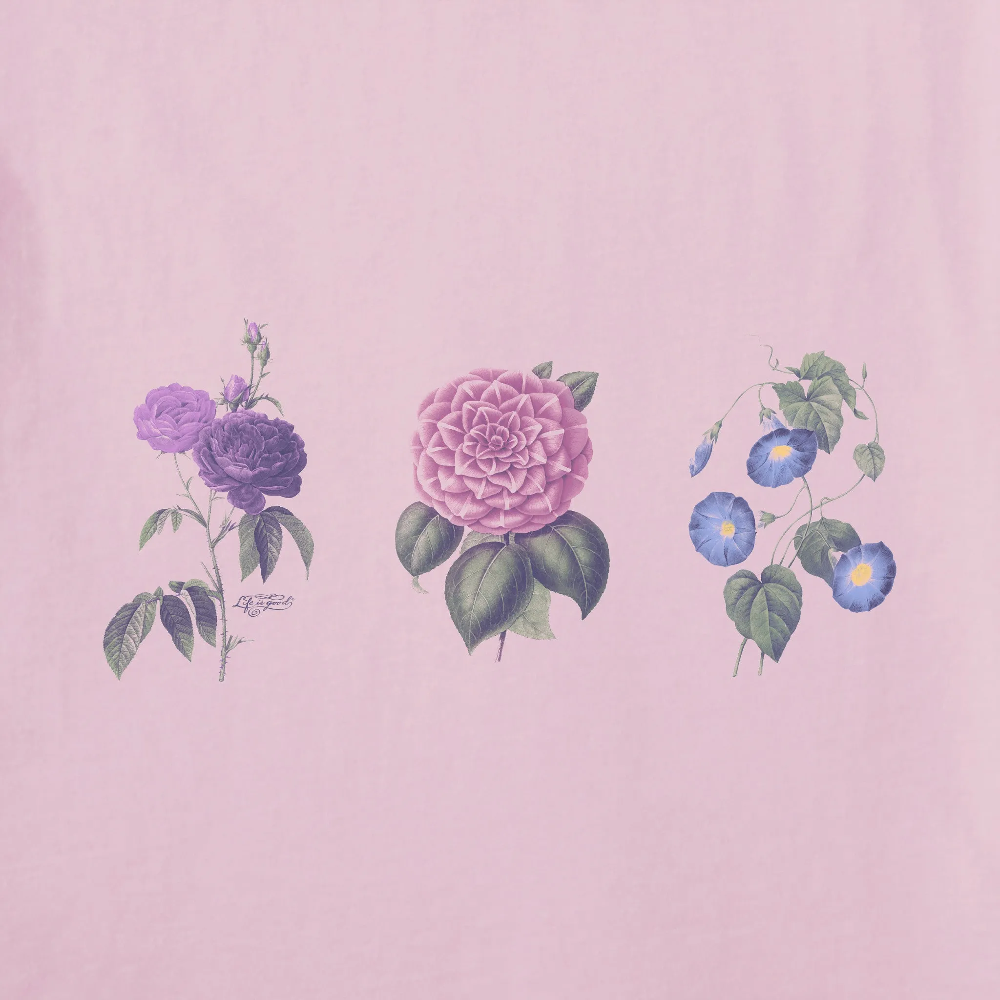 Women's Antique Botanicals Simply True Fleece Hoodie LIFE IS GOOD
