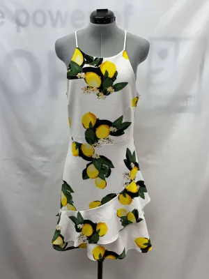 Women's Le Chteau Dress, Medium