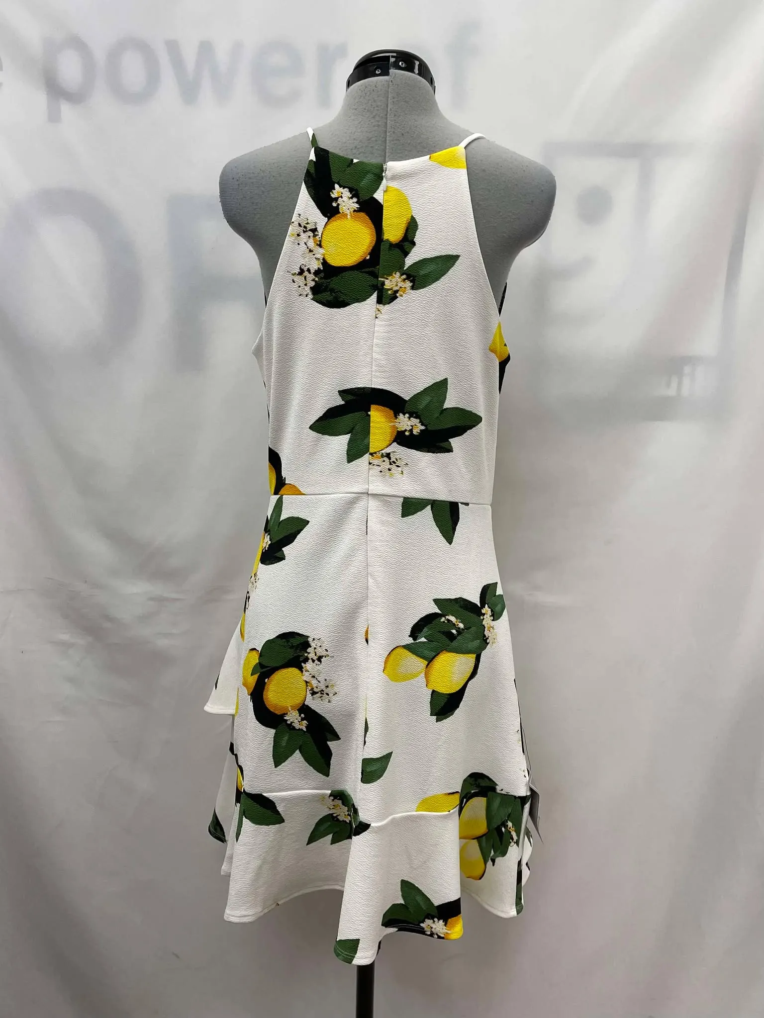 Women's Le Chteau Dress, Medium