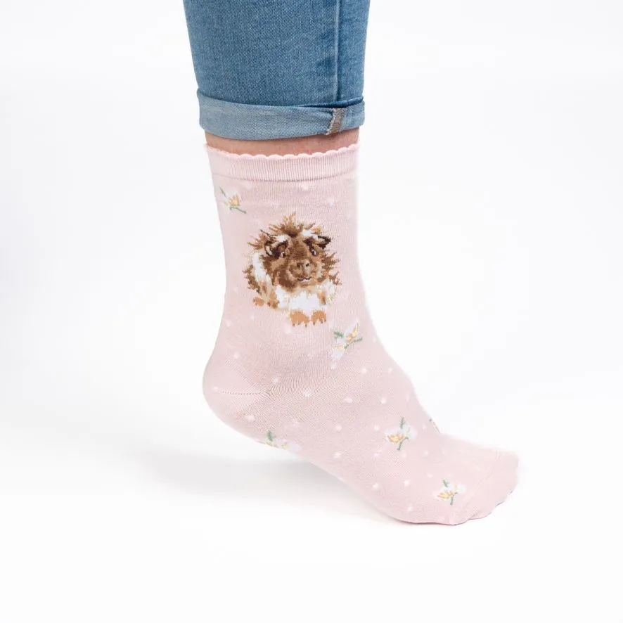 Wrendale Grinny Pig Guinea Pig Socks